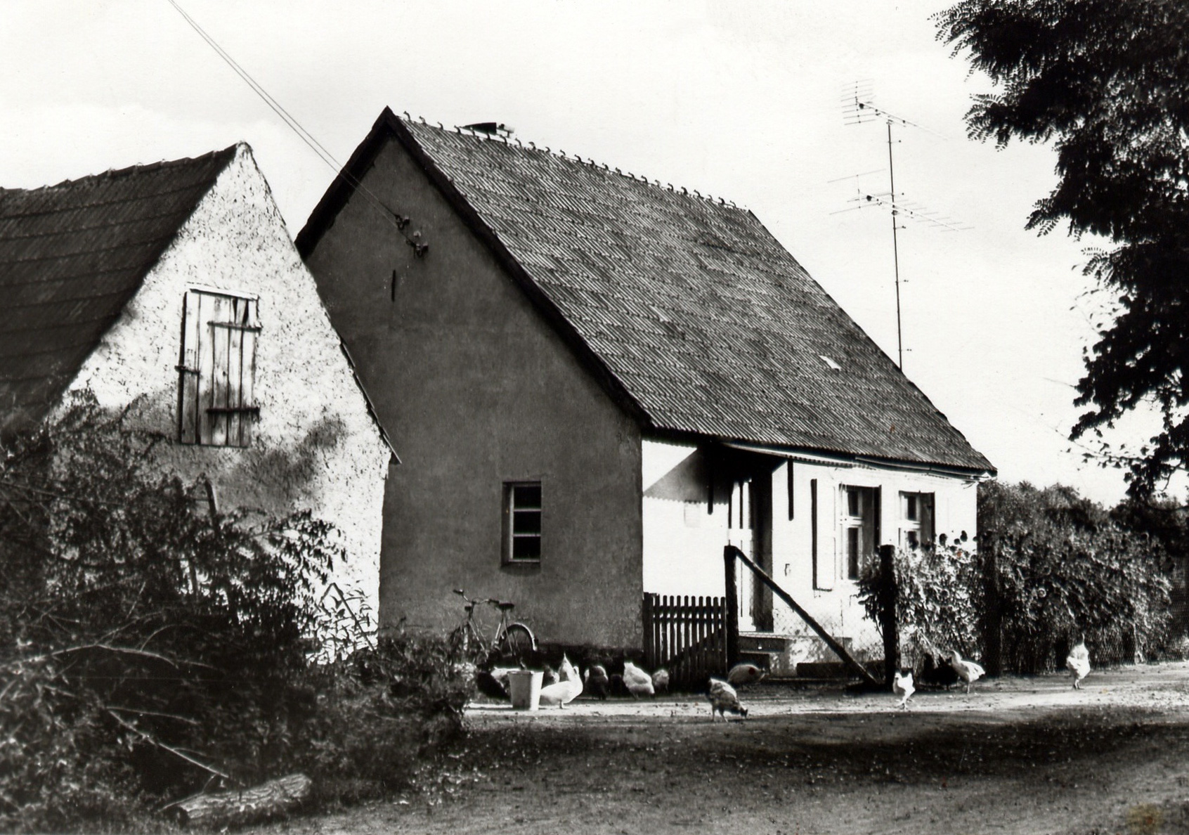 Ehm Welks Geburtshaus 1953